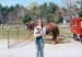 mom_mark_and_a_horse